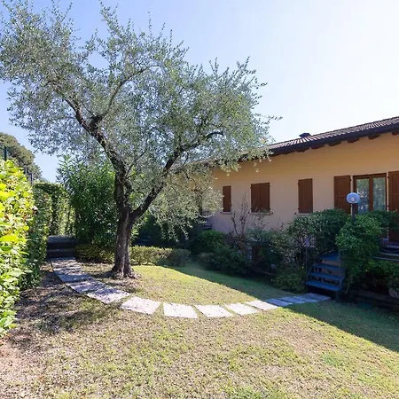 Le Olive 8-4 By Wonderful Italy *